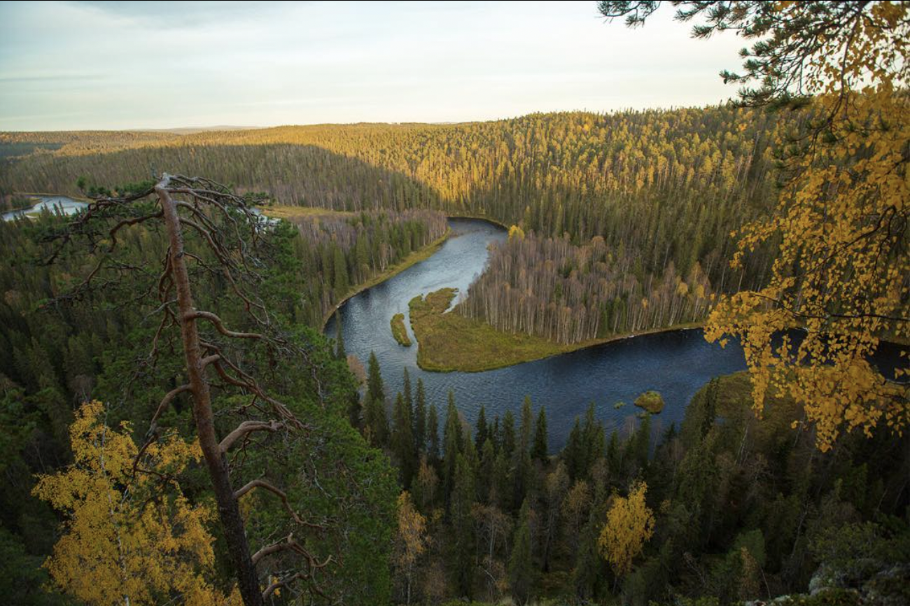 Ruskamaisema Kuusamossa, Kitkajoella